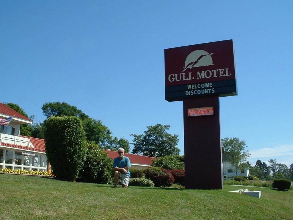 The Gull Motel, Belfast Exterior photo
